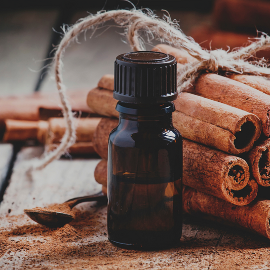 Refresh Aromatics Cinnamon Bark 5ml