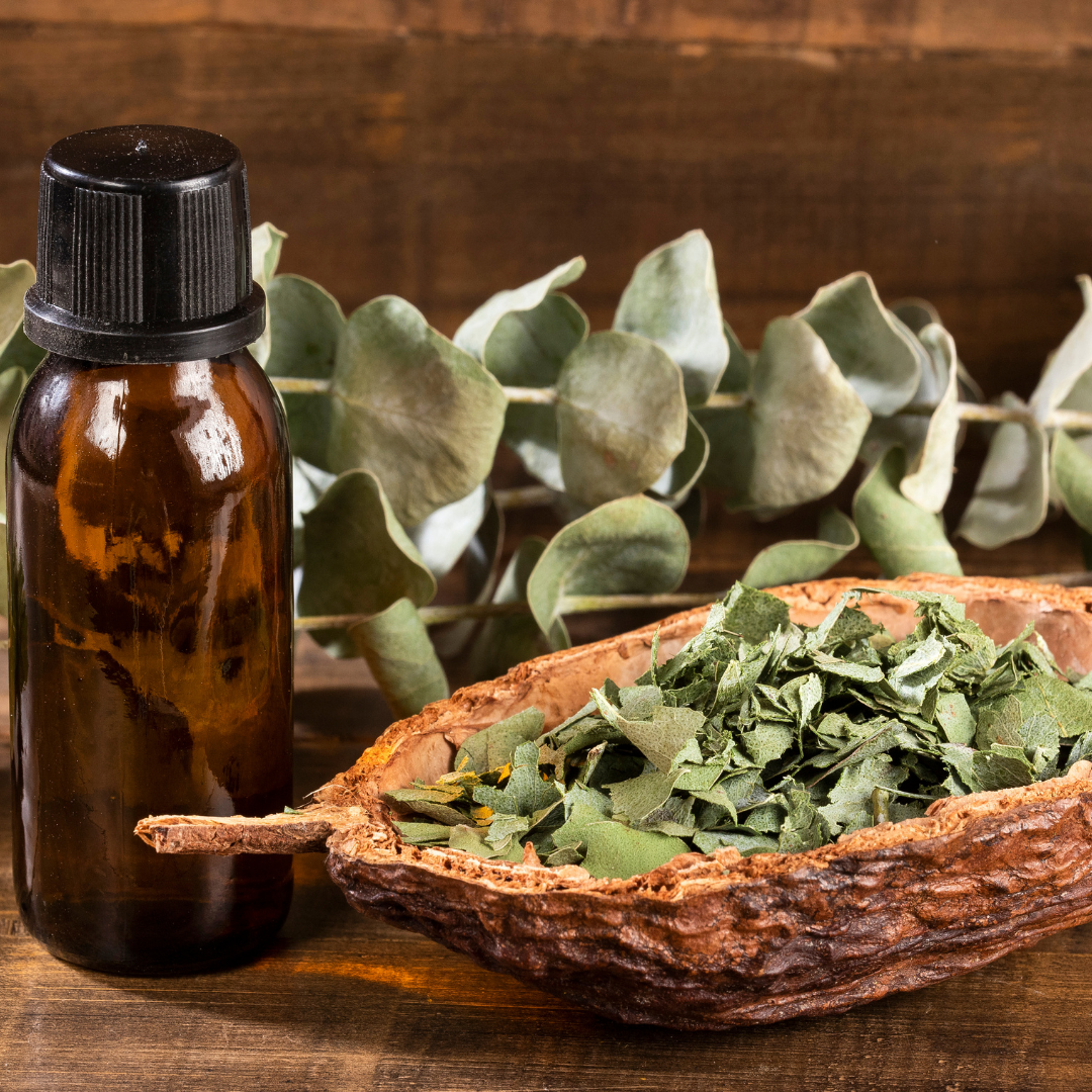 Refresh Aromatics Eucalyptus Globulus 15ml