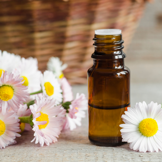 Refresh Aromatics Roman Chamomile 5ml