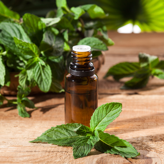 Refresh Aromatics - Diffuser Blend - Halo 15ml