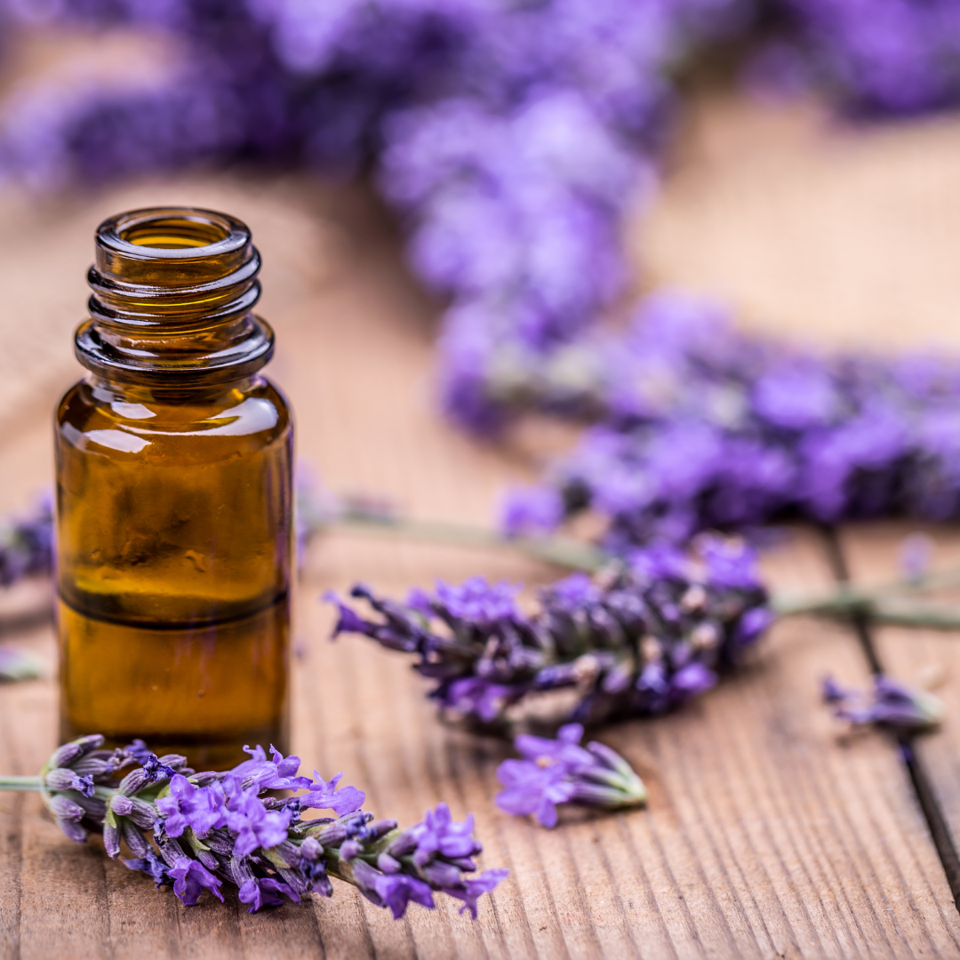 Refresh Aromatics Lavender 15ml