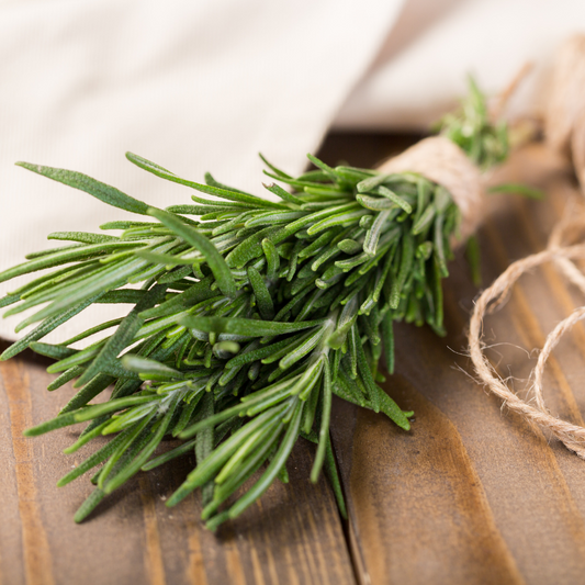 Refresh Aromatics Rosemary 15ml